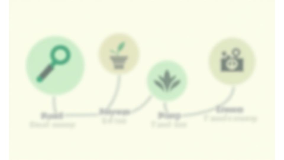 Infographic showing the four-step process of NaturaVerdivale Pulse's lifestyle upgrade methodology