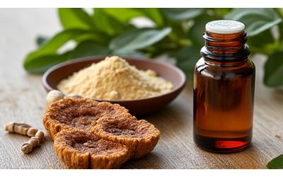 A variety of adaptogenic herbs and supplements in natural packaging on a wooden surface.